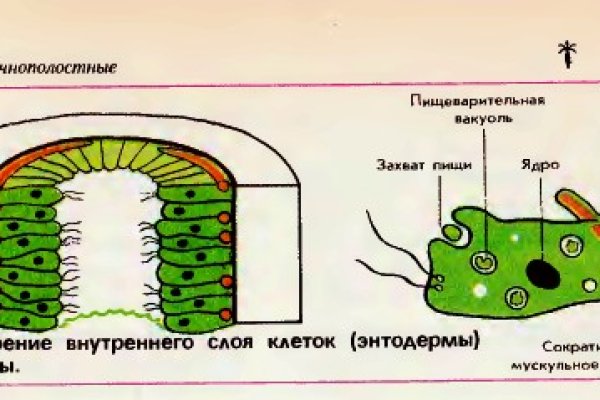 Рабочая ссылка на блэкспрут